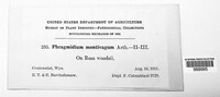 Image Associated With the Occurence
